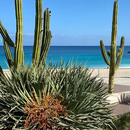 Sweet Ocean Appartement Corralejo